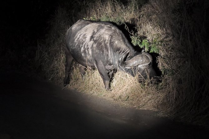 Hluhluwe/iMfolozi Game Reserve Full Day Game Drive - Entering the park: Nyalazi Gate and the wilderness drive feel