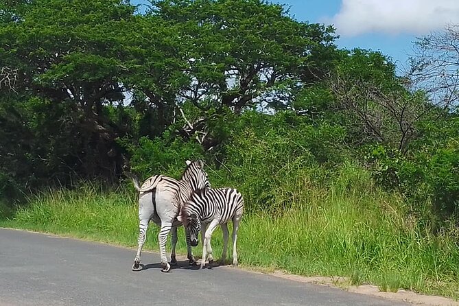 Hluhluwe Imfolozi Park And Isimangaliso Wetlands Park .st Lucia - Hippos, crocs, and bird spotting from the waterline