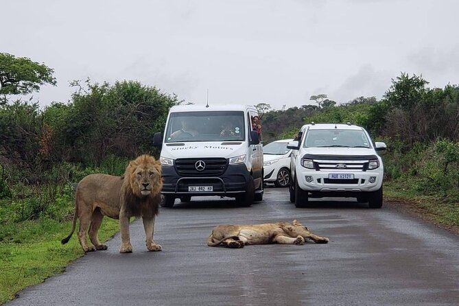 Hluhluwe Imfolozi Park And Isimangaliso Wetlands Park .st Lucia - The 6:00 am start and why it matters for animal spotting