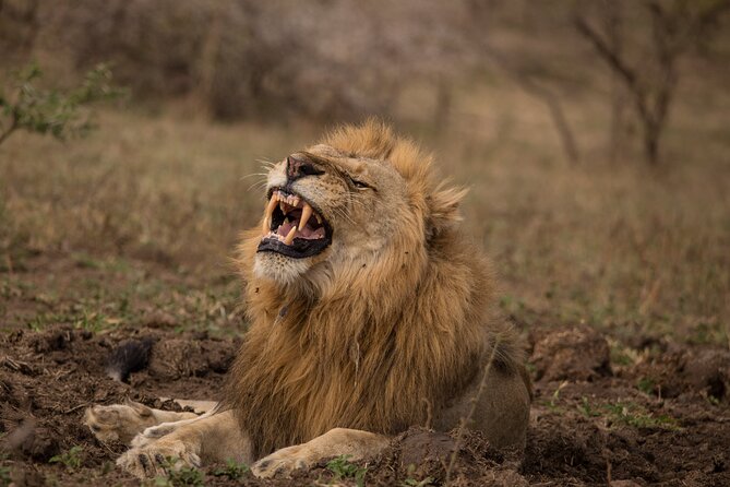 Hluhluwe-iMfolozi Park Exclusive Private Full Day Big 5 Safari - Hluhluwe-iMfolozi: why this is a serious Big 5 safari day