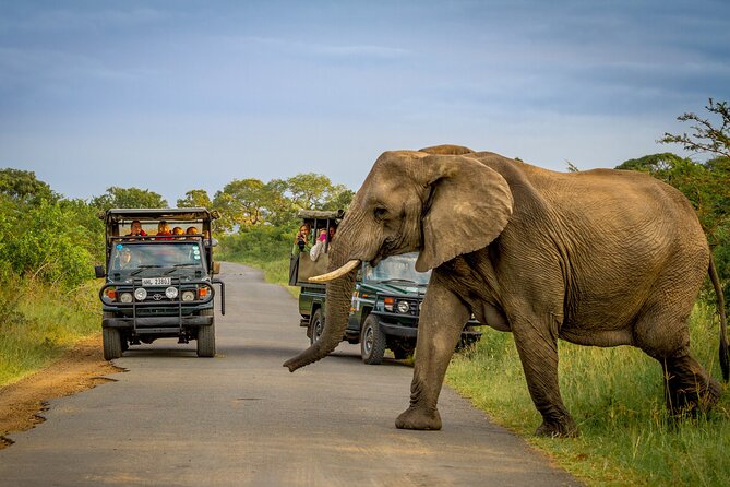 Hluhluwe-iMfolozi Park Exclusive Private Full Day Big 5 Safari - Guides who bring the day to life, including Sifiso, TK, Theo, and Nele