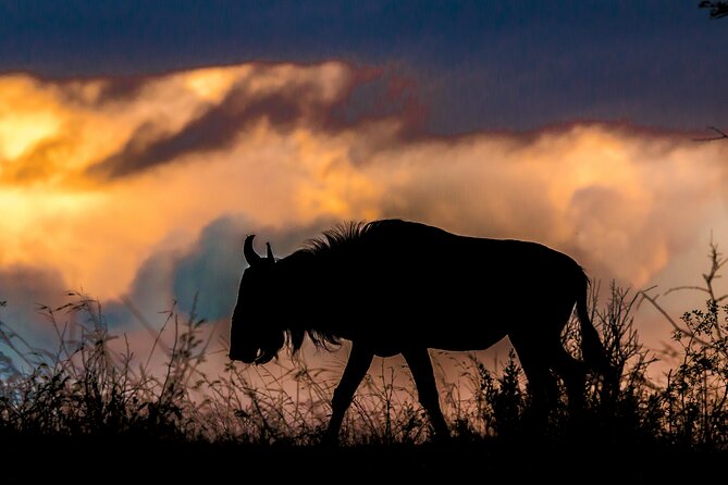 Hluhluwe-iMfolozi Park Exclusive Private Full Day Big 5 Safari - Price and value: is $256.32 per person a fair deal?