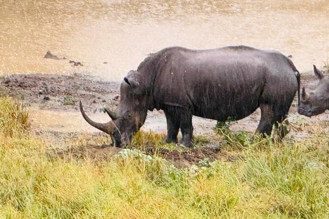 Hluhluwe Imfolozi Park Excursion - Stop 1: Richards Bay for 1.5 Hours of Coastal Context