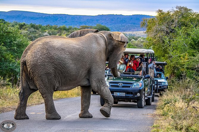 Hluhluwe-Imfolozi Park Full Day Big 5 Safari Tour - Early Sunrise Safari Rhythm in St Lucia