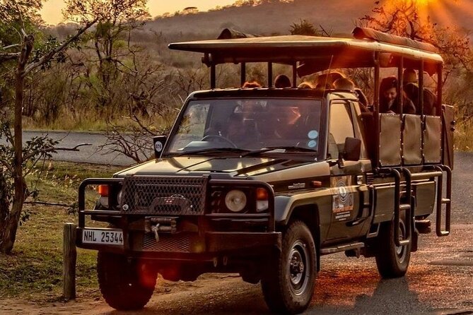 Hluhluwe-Imfolozi Park Half-day Big Five Safari Adventure - Key highlights I’d plan around