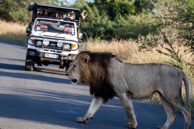 Hluhluwe-Imfolozi Park Half-day Big Five Safari Adventure - Your guide makes the difference: ecosystems, conservation, and real Big Five searching