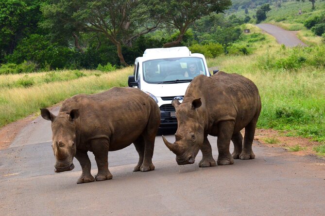 Hluhluwe Imfolozi Safari Day Tour from Durban - Key things to know before you go