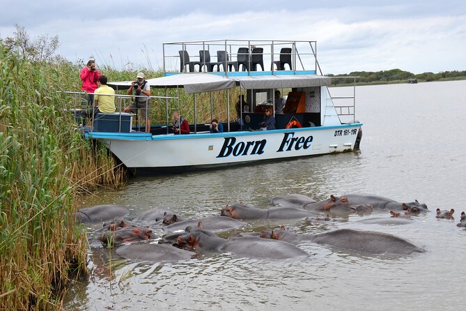 Hluhluwe Imfolozi Safari & St Lucia Boat Safari Day Tour from Durban - A Long Safari Day That Actually Makes Sense