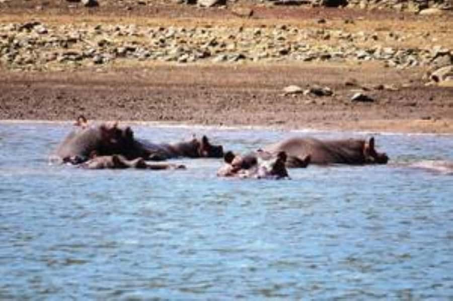 Hoedspruit: Blyde River Canyon Dam Boat Cruise - Key things to know before you go