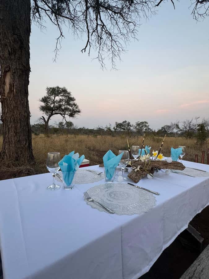 Hoedspruit: Dinner in the Bush & Safari Game Drive - Greater Kruger near Hoedspruit, and why that reserve setup matters