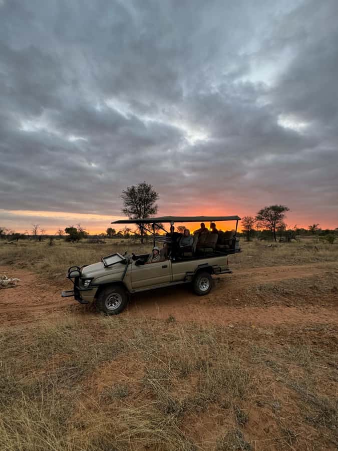 Hoedspruit: Dinner in the Bush & Safari Game Drive - The open-vehicle game drive, what you should expect to see