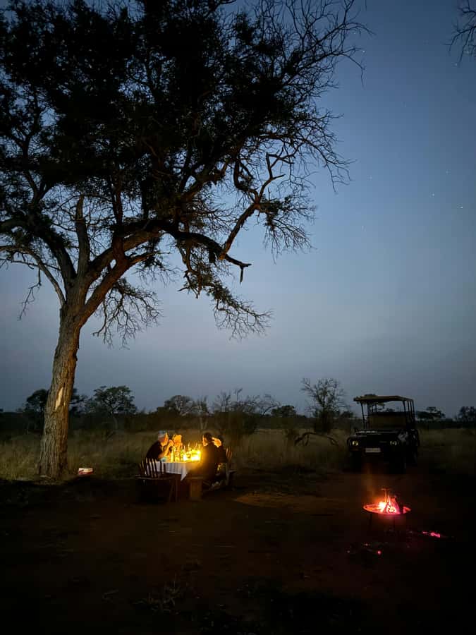 Hoedspruit: Dinner in the Bush & Safari Game Drive - Price and value: is $171 per person fair for this package?