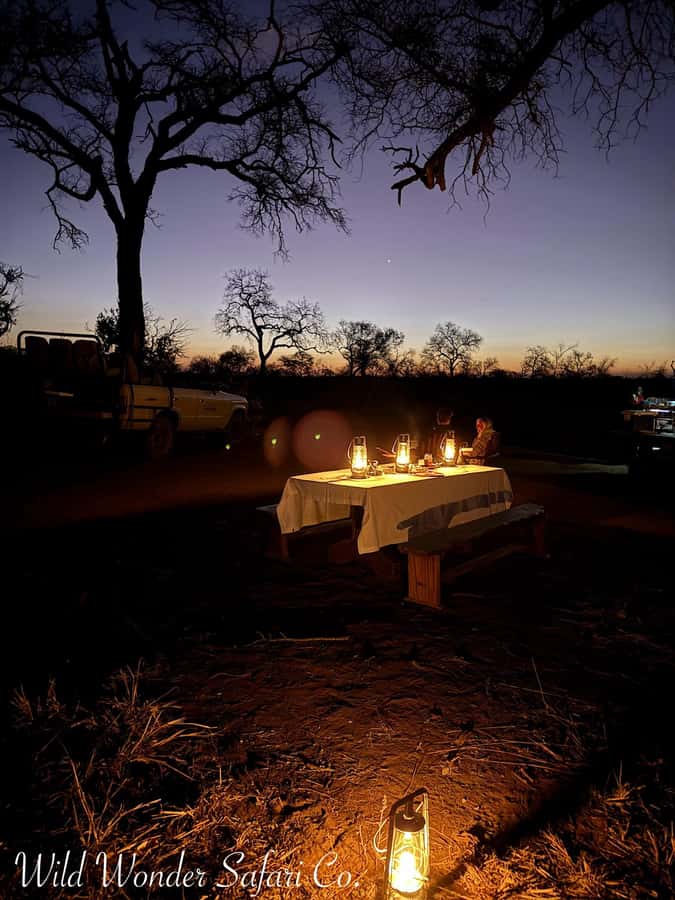 Hoedspruit: Dinner in the Bush & Safari Game Drive - The 5-hour flow, game drive first, dinner after dark