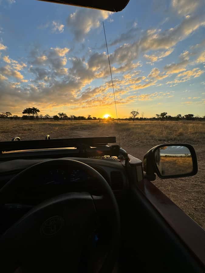 Hoedspruit: Evening Safari In Greater Kruger Private Reserve - Big Five dreams: how icons show up on a dusk drive