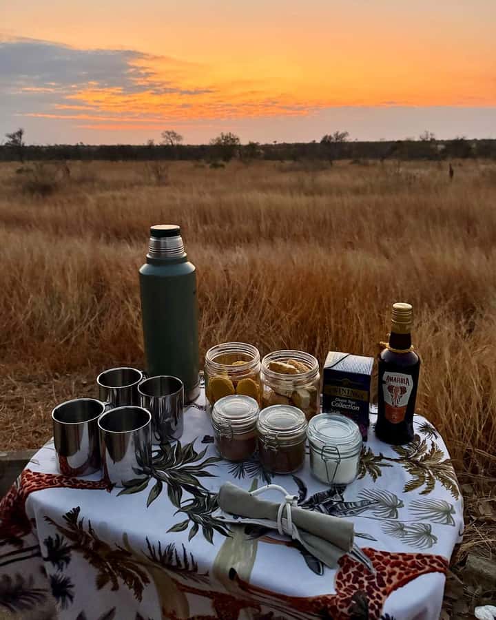 Hoedspruit: Full Day in ICONIC Kruger National Park - Hoedspruit to Kruger: a long day that pays off