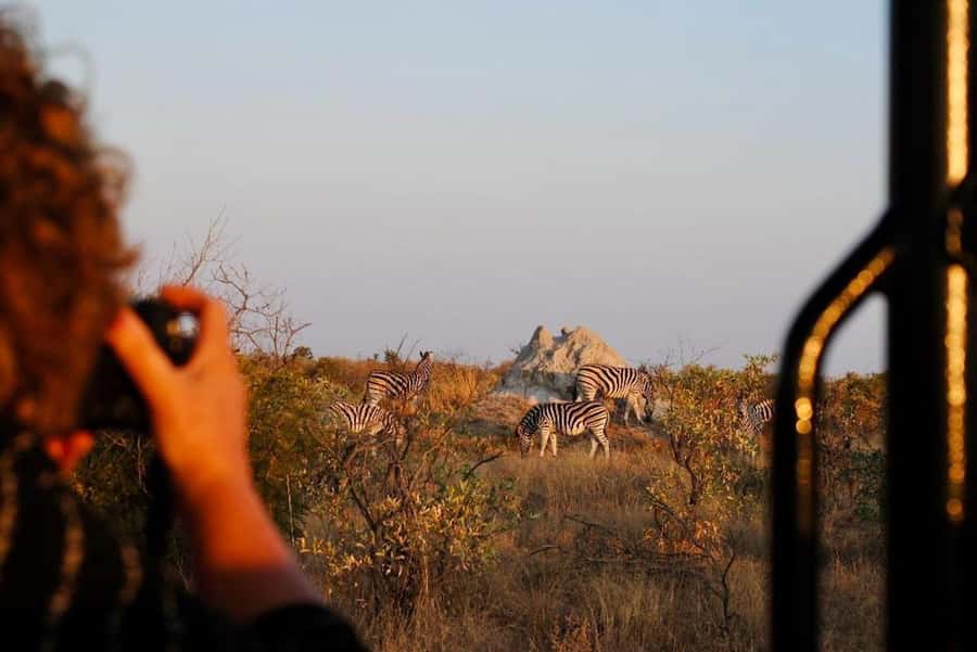 Hoedspruit: Full Day in ICONIC Kruger National Park - How the 13-hour plan is structured for sightings
