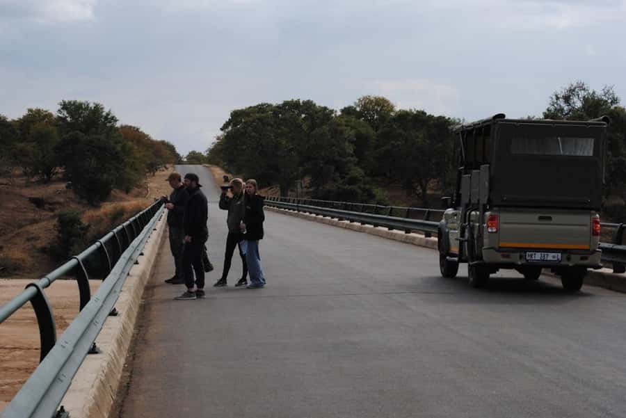 Hoedspruit: Full Day in ICONIC Kruger National Park - Coffee, tea, rusks, and a rest camp stop that actually breaks the day
