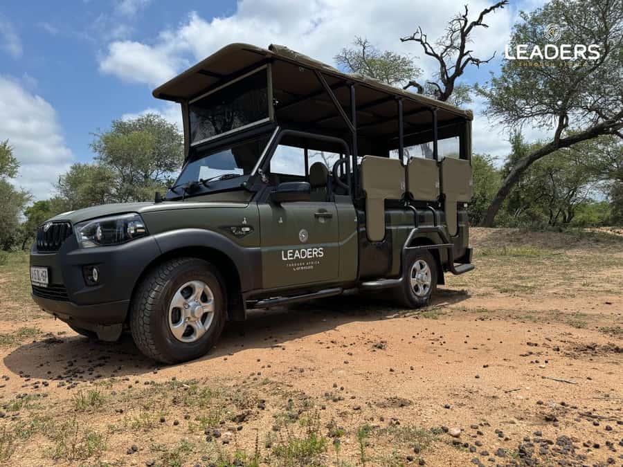 Hoedspruit: Private Kruger National Park Full-Day Safari - What you can realistically hope to see in Kruger