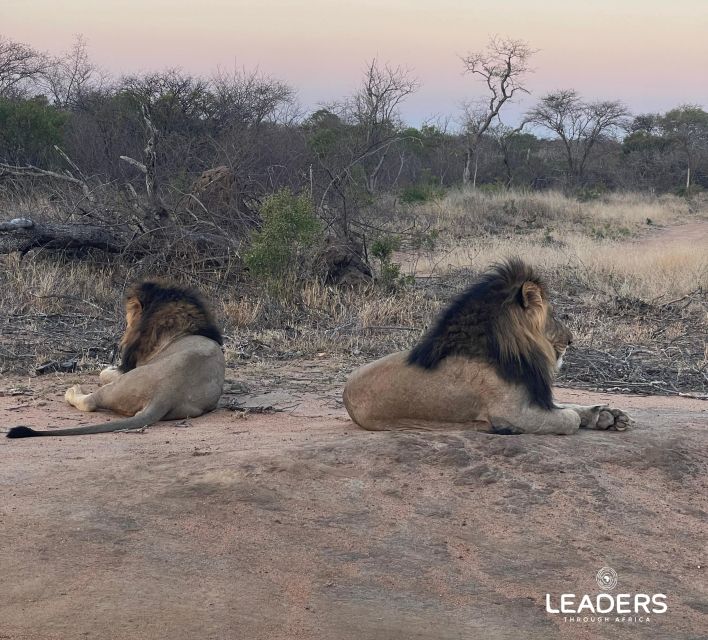 Hoedspruit: Private Kruger National Park Full-Day Safari - The included comforts, and what you must pay yourself