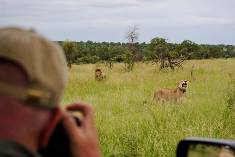 Hoedspruit: Sunrise Safari in Greater Kruger Private Reserve - Pickup in Hoedspruit, open-vehicle comfort, and morning logistics