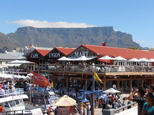 Hop-On Hop-Off Cape Town Canal Cruise - Key Points You’ll Feel Right Away