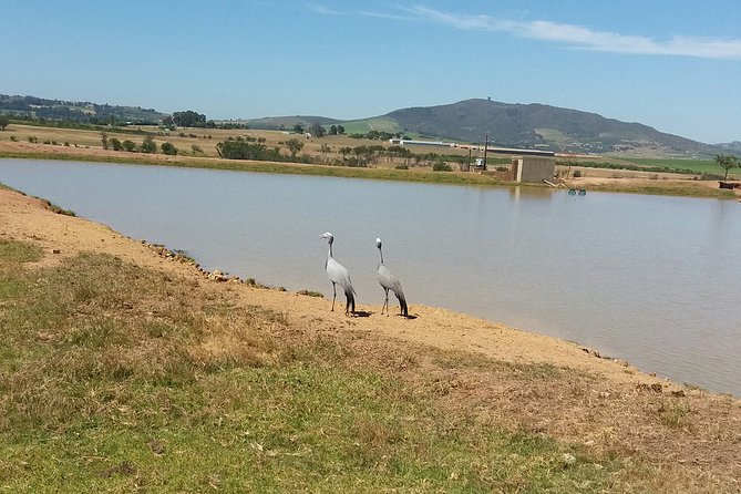 Horse Riding Wildlife Safari - Getting There, Meeting at Pete’s, and Starting Smooth