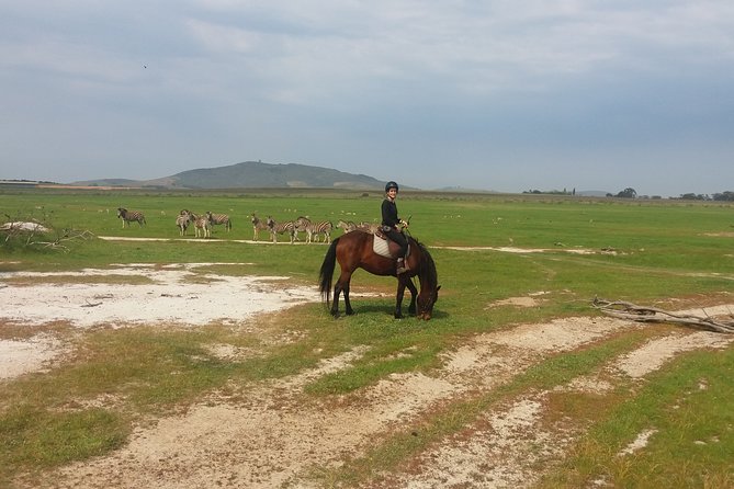 Horse Riding Wildlife Safari - The 1.5-Hour Ride in the 240ha Wildlife Sanctuary