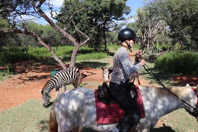 Horseback Safari Adventure in Hartbeespoort from Johannesburg - Photography and the small perks that remove stress