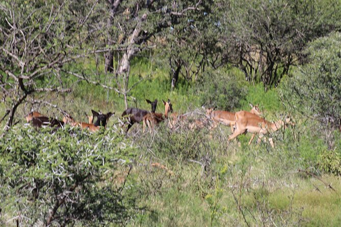 Horseback Safari Adventure in Hartbeespoort from Johannesburg - Hartbeespoort Dam, an early-19th-century wall and a view that depends on water
