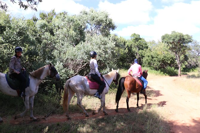 Horseback Safari Adventure in Hartbeespoort from Johannesburg - Duration, pacing, and what a 7 to 8 hour day feels like