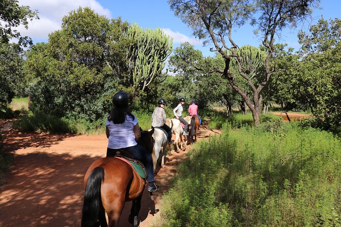 Horseback Safari Adventure in Hartbeespoort from Johannesburg - What horseback riding actually means here (and why beginners are welcome)