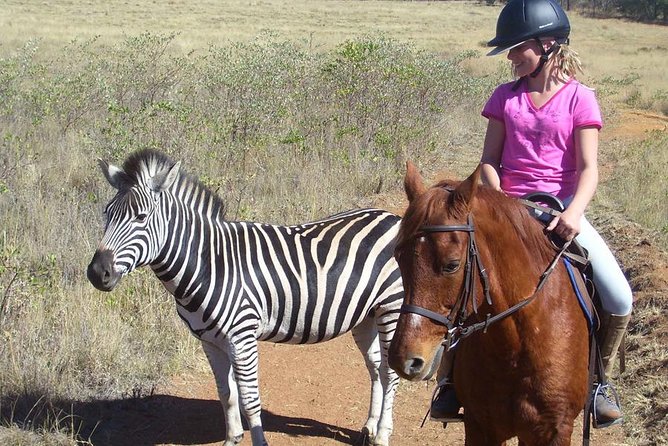 Horseback Safari Tour - Safety First: Briefing, Skills Check, and the Horse Pairing