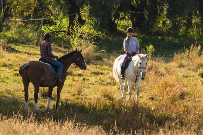 Horseback Small-Group Trail Rides in Muldersdrift - Key things I’d watch for before you go