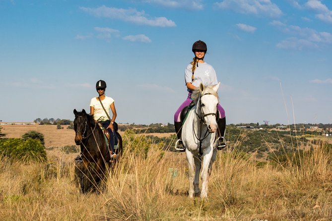 Horseback Small-Group Trail Rides in Muldersdrift - Muldersdrift horseback rides that feel personal, not packaged