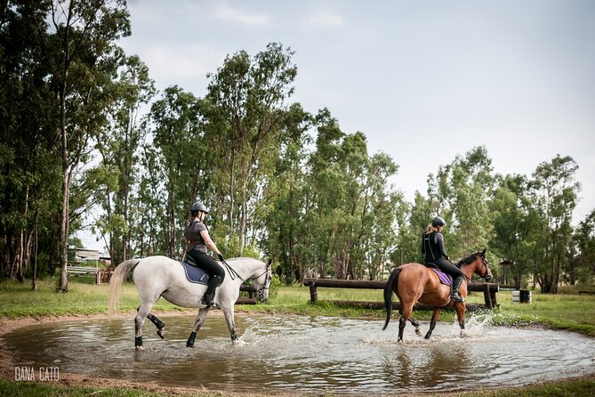 Horseback Small-Group Trail Rides in Muldersdrift - Price and value: why $34.69 can make sense here