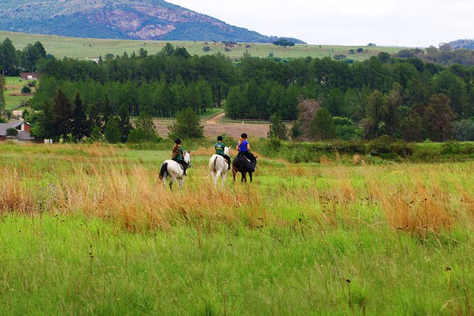 Horseback Small-Group Trail Rides in Muldersdrift - Who this horseback trail ride suits best