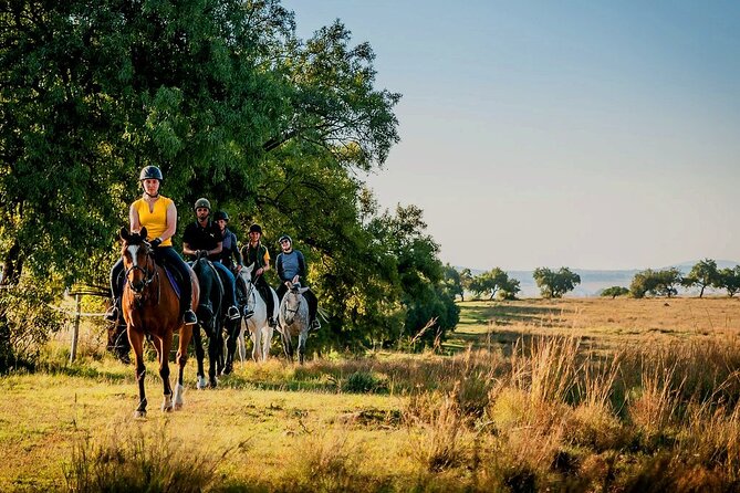 Horseback Small-Group Trail Rides in Muldersdrift - Shepherd’s Fold Stables meeting point: what your start usually looks like