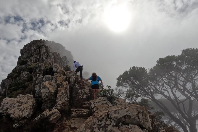 Incredible Table Mountain Guided Day Hike or Trail Run - How your guide chooses the trail, from Lions Head to Maclears