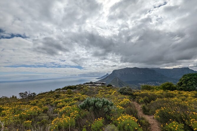 Incredible Table Mountain Guided Day Hike or Trail Run - Weather and wind: your Plan B near Newland Forest