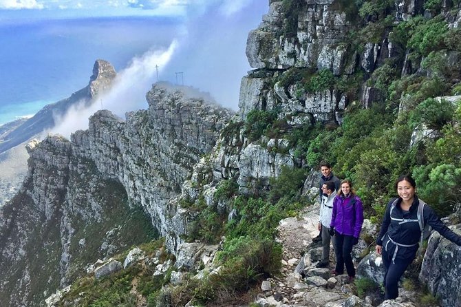 India Venster: sensational half-day route up Table Mountain - Key highlights worth your attention