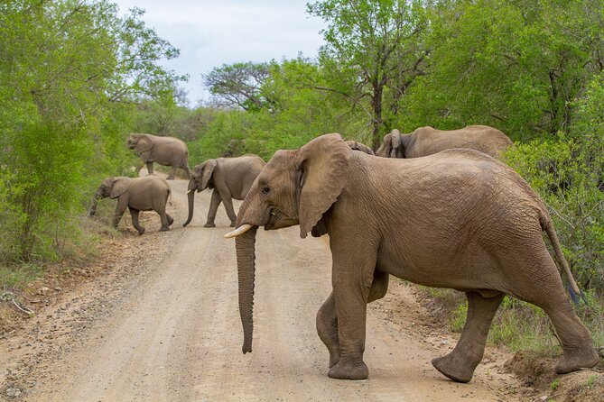 iSimangaliso Sunset Game Drive - Why sunset in iSimangaliso is worth your evening