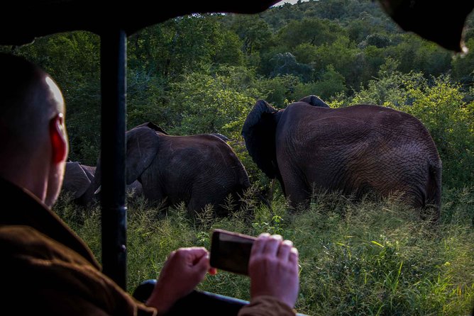 iSimangaliso Wetland Park, Night Drive Safari - The 8:00 pm Start: What Your Evening Will Look Like