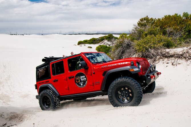 Jeep Dune Adventure Tour, Cape Town - Sandboarding and dune jumping: the core activities