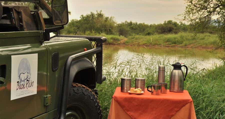 Johannesburg: 2-Day 4-Star Pilanesberg Safari - Quick takeaways on Pilanesberg in 2 days