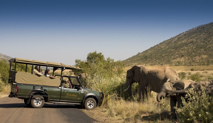 Johannesburg: 2-Day 4-Star Pilanesberg Safari - Price and value: is $609 a good deal for Big Five time?