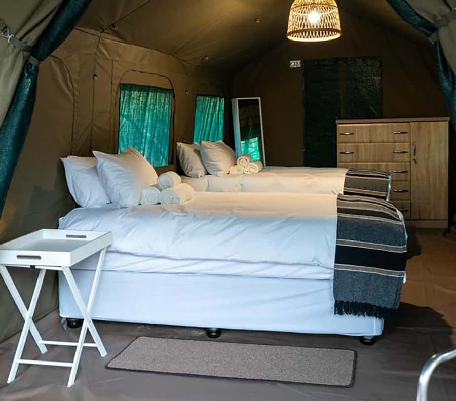 Johannesburg: 3-Day Kruger Budget Glamping Safari - Who This Kruger Budget Glamping Safari Suits Best
