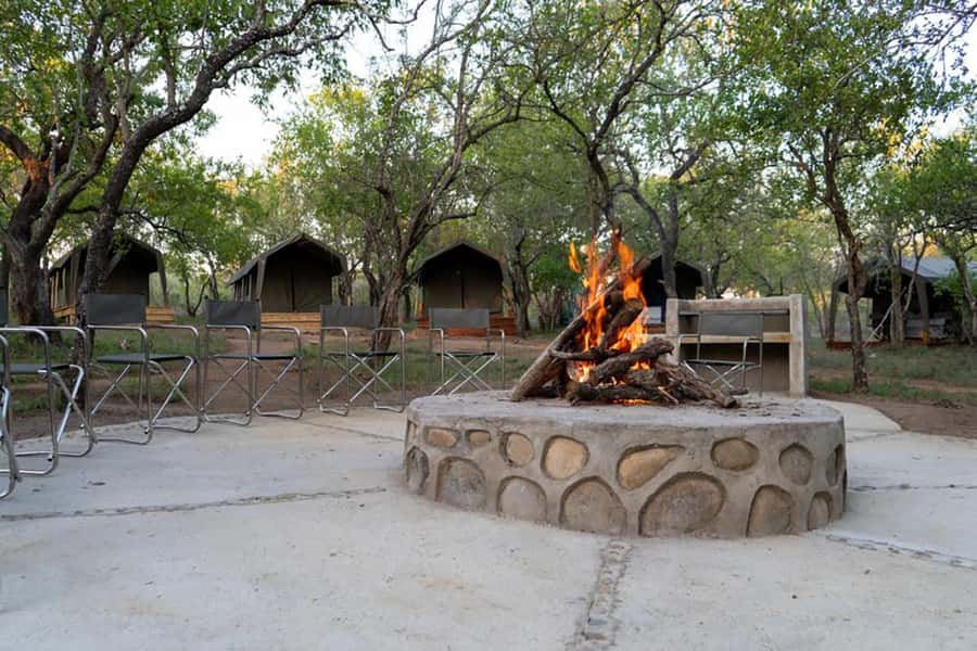 Johannesburg: 3-Day Kruger Budget Glamping Safari - Should You Book This 3-Day Johannesburg to Kruger Glamping Safari?