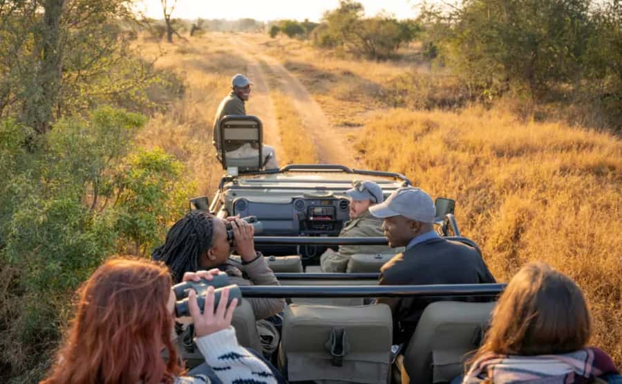 Johannesburg: 3-Day Pilanesberg Camping Adventure - Day 3: Sunrise Game Drive for 3 Hours, Then Your Final Closed Vehicle Ride Home