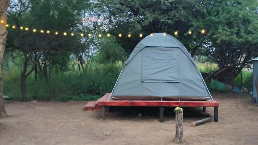 Johannesburg: 3-Day Pilanesberg Camping Adventure - Closed Vehicle Safari Drives: More Comfort, Still Up Close