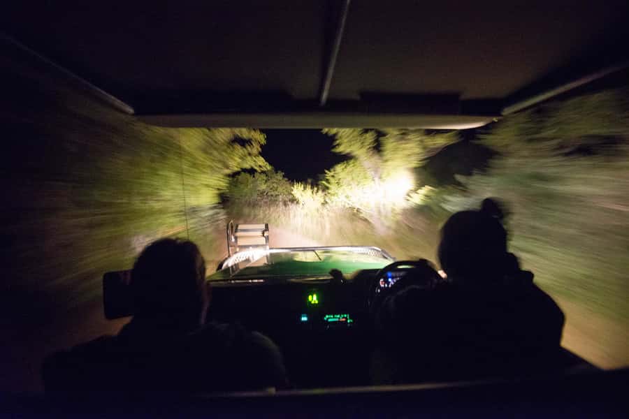 Johannesburg: 4-Day Classic Kruger National Park Safari - Why Balule plus Kruger works for real sightings